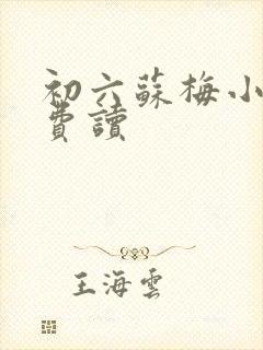 初六苏梅小说免费读