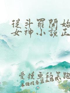 从斗罗开始俘获女神小说正版