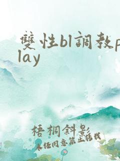 双性bl调教play