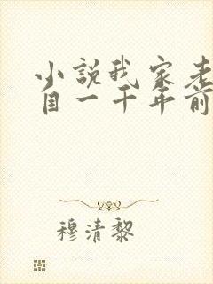 小说我家老婆来自一千年前全文下载