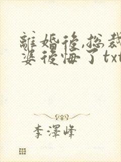 离婚后,总裁老婆后悔了txt下载全本