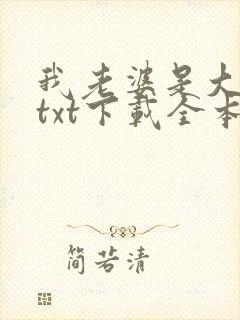 我老婆是大明星txt下载全本