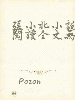 张小北小说免费阅读全文无弹窗