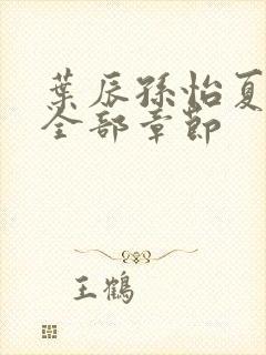 叶辰孙怡夏若雪全部章节