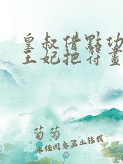 皇叔借点功德:王妃把符画猛了