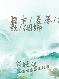 日本/羞辱/调教/捆绑