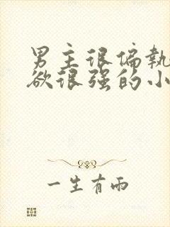 男主很偏执占有欲很强的小说