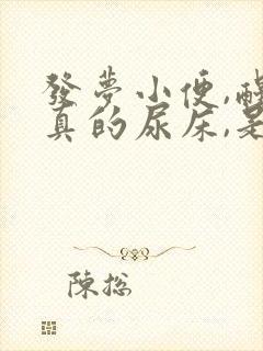 发梦小便,醒来真的尿床,是怎么回事