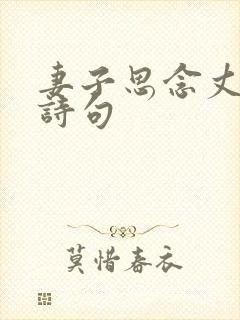 妻子思念丈夫的诗句