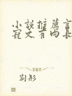 小说推荐言情甜宠文有肉长篇