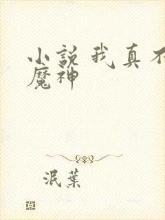 小说 我真不是魔神