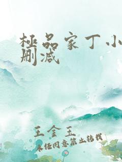 极品家丁小说无删减