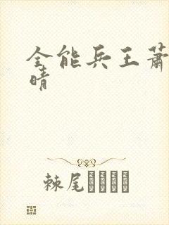 全能兵王萧晨苏晴