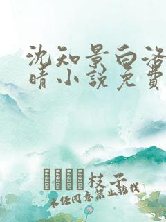 沈知景白洛洛夏晴小说免费阅读