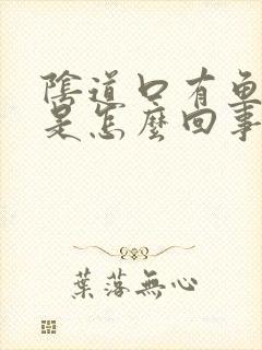 阴道口有鱼腥味是怎么回事