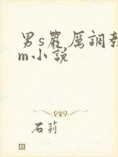 男s严厉调教女m小说