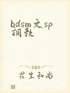 bdsm文sp调教