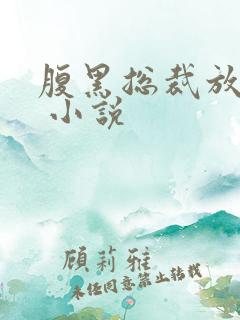 腹黑总裁放开我 小说