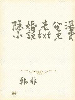 隐婚老公深夜来小说txt免费下载