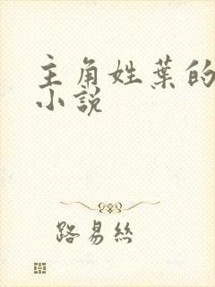 主角姓叶的都市小说