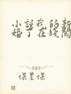 小说我的新郎逃婚了在线阅读