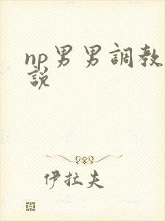 np男男调教小说