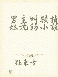 男主叫顾桢女主姓沈的小说