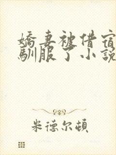 娇妻被借宿黑人驯服了小说