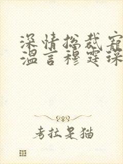 深情总裁宠不停温言穆霆琛