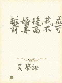 离婚后,我成了前妻高不可攀的神