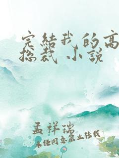 完结我的高冷女总裁 小说