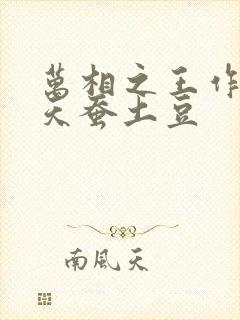 万相之王作者:天蚕土豆