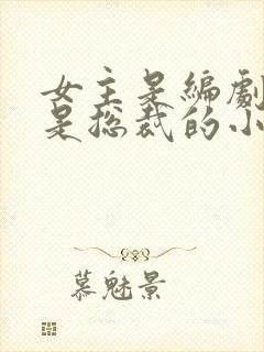 女主是编剧男主是总裁的小说