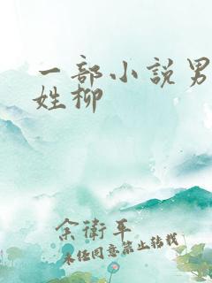 一部小说男主角姓柳