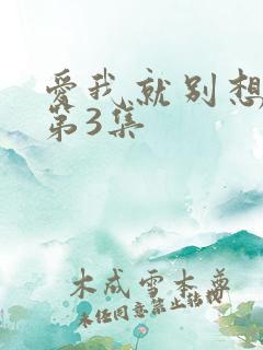 爱我就别想太多第3集