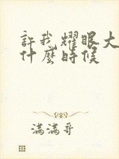 许我耀眼大结局什么时候