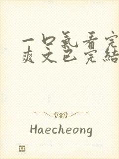 一口气看完发疯爽文已完结的小说