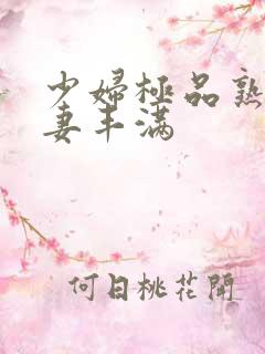 少妇极品熟妇人妻丰满