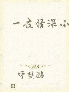 一夜情深小说