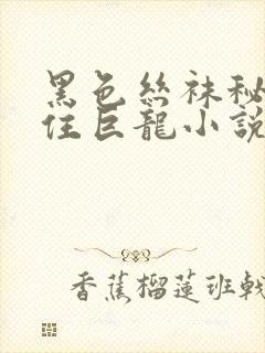 黑色丝袜秘书夹住巨龙小说