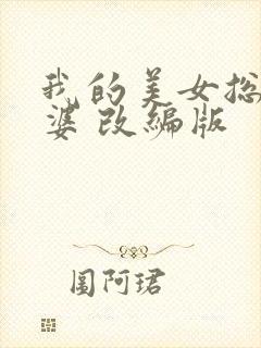 我的美女总裁老婆 改编版