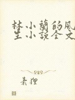 林小兰的风流人生小说全文免费阅读