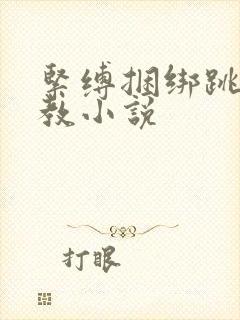 紧缚捆绑跳蛋调教小说