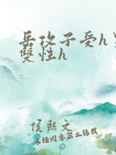 岳攻子受h男男双性h