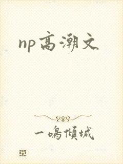 np高潮文