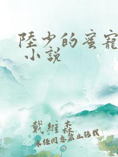 陆少的蜜宠甜妻 小说
