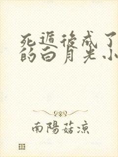 死遁后成了师尊的白月光小说免费阅读