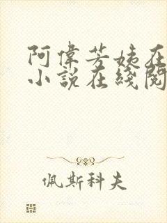 阿伟芳姨在人间小说在线阅读