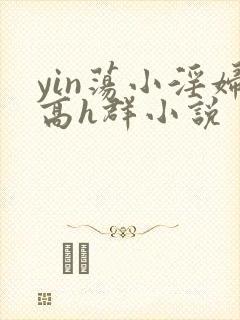 yin荡小淫妇高h群小说