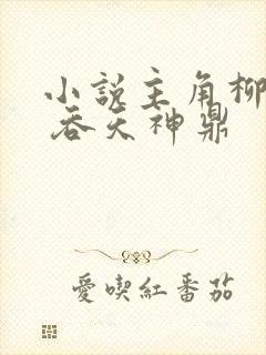 小说主角柳无邪 吞天神鼎